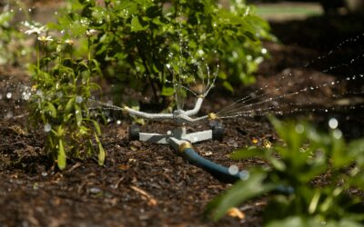 Riego eficiente y agua regenerada en el paisaje