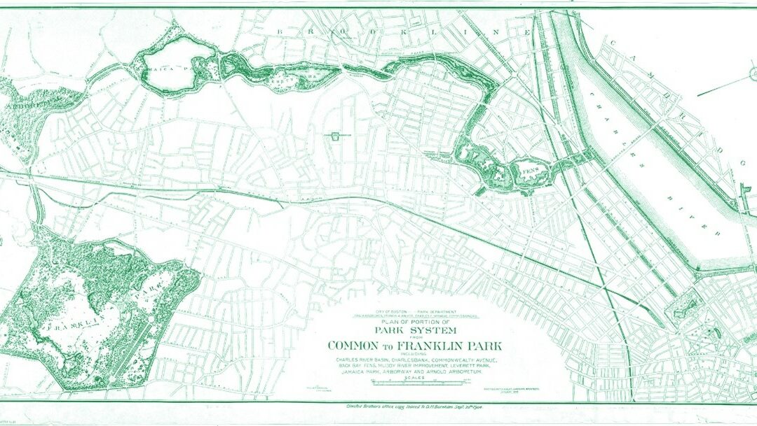 Los refugios climáticos como estrategia de renaturalización