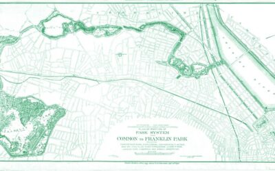 Los refugios climáticos como estrategia de renaturalización